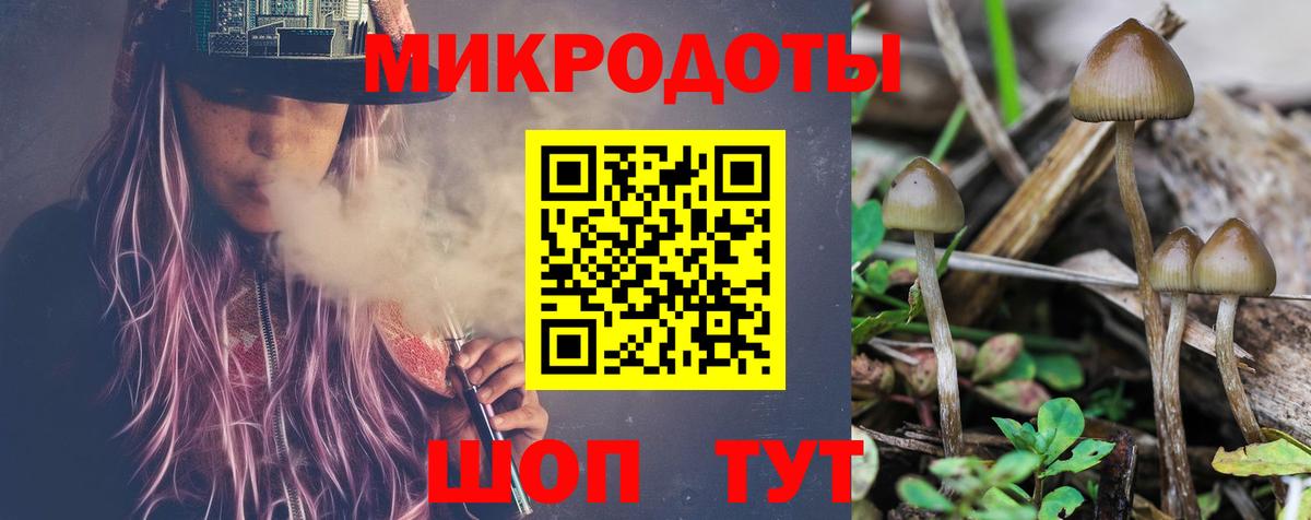 Галлюциногенные грибы ЛСД Советск